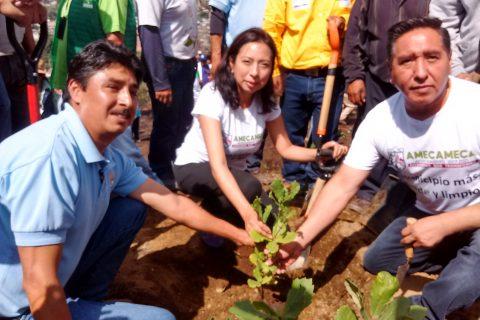 Reforestación Amecameca