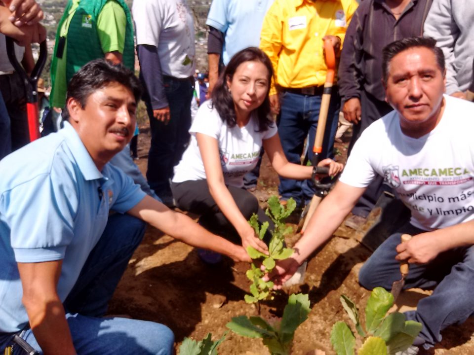 Reforestación Amecameca